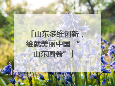 山东多维创新，绘就美丽中国 “山东画卷”