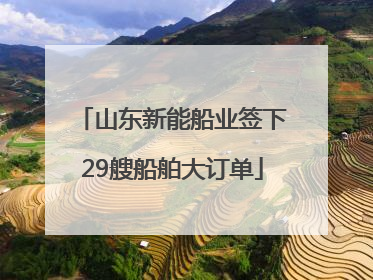 山东新能船业签下29艘船舶大订单