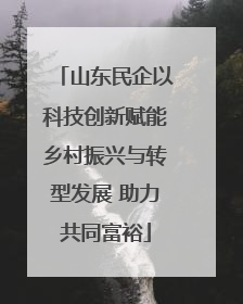 山东民企以科技创新赋能乡村振兴与转型发展 助力共同富裕
