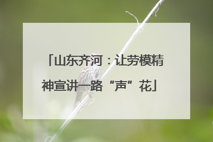 山东齐河：让劳模精神宣讲一路“声”花
