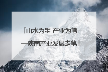山水为墨 产业为笔——陕南产业发展走笔