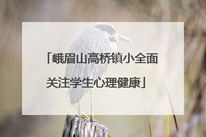 峨眉山高桥镇小全面关注学生心理健康