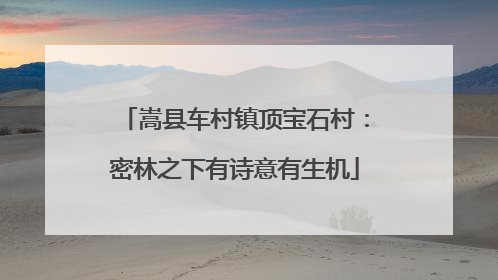 嵩县车村镇顶宝石村：密林之下有诗意有生机