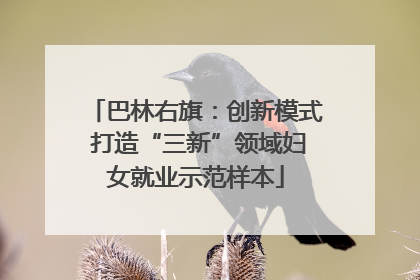巴林右旗：创新模式 打造“三新”领域妇女就业示范样本
