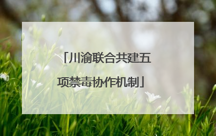 川渝联合共建五项禁毒协作机制