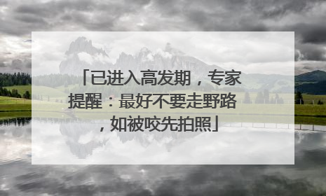 已进入高发期，专家提醒：最好不要走野路，如被咬先拍照