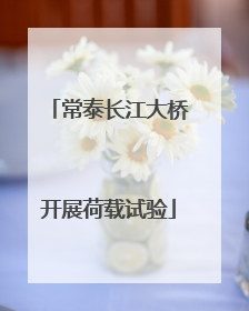 常泰长江大桥开展荷载试验