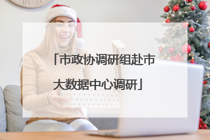 市政协调研组赴市大数据中心调研