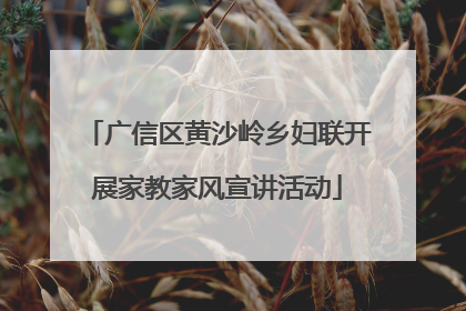 广信区黄沙岭乡妇联开展家教家风宣讲活动
