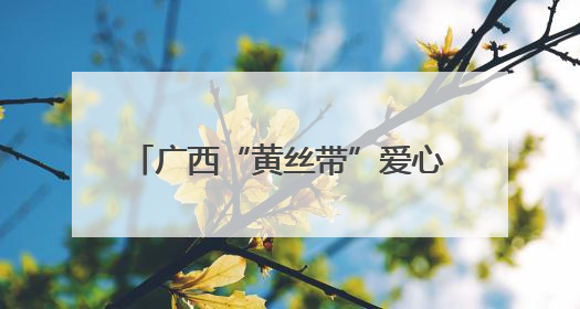 广西“黄丝带”爱心助考公益活动启动 爱心助考20年再升级