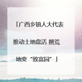广西乡镇人大代表推动土地盘活 撂荒地变“致富园”