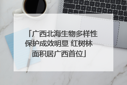 广西北海生物多样性保护成效明显 红树林面积居广西首位