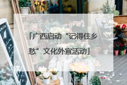 广西启动“记得住乡愁”文化外宣活动