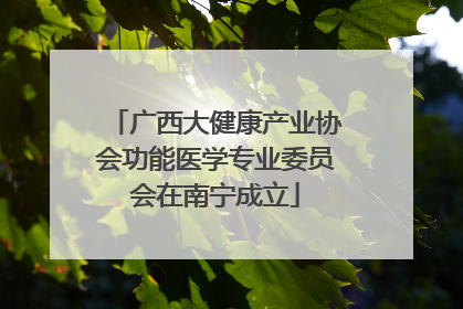 广西大健康产业协会功能医学专业委员会在南宁成立
