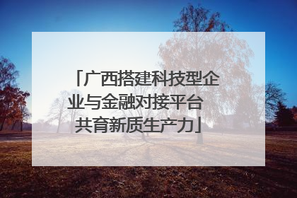 广西搭建科技型企业与金融对接平台 共育新质生产力