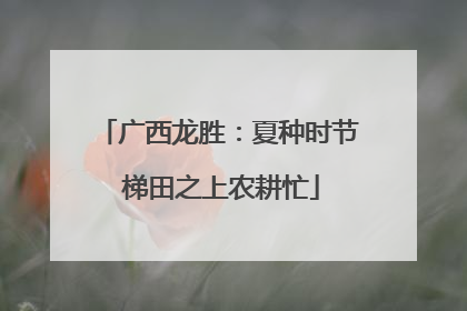 广西龙胜：夏种时节 梯田之上农耕忙