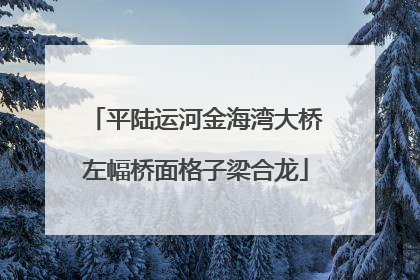 平陆运河金海湾大桥左幅桥面格子梁合龙