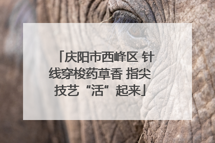庆阳市西峰区 针线穿梭药草香 指尖技艺“活”起来