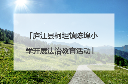 庐江县柯坦镇陈埠小学开展法治教育活动