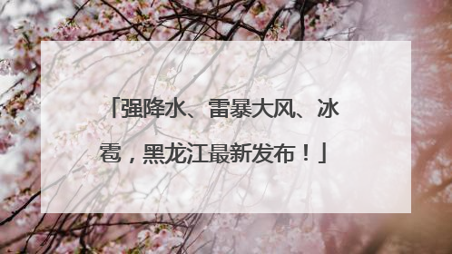 强降水、雷暴大风、冰雹，黑龙江最新发布！
