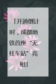 开通倒计时，成都地铁首座“无柱车站”亮相