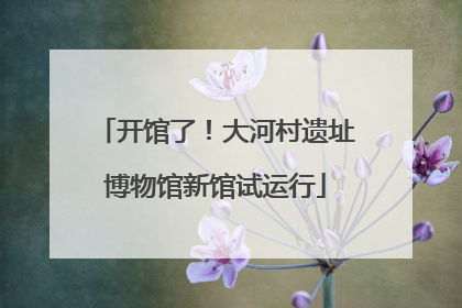 开馆了！大河村遗址博物馆新馆试运行