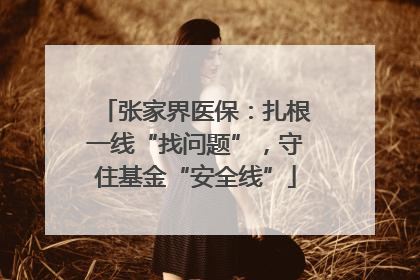 张家界医保：扎根一线“找问题”，守住基金“安全线”
