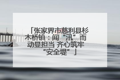 张家界市慈利县杉木桥镇：闻“汛”而动显担当 齐心筑牢“安全堤”