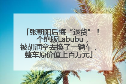 张朝阳后悔“退货”！一个绝版Labubu，被胡润拿去换了一辆车，整车原价值上百万元