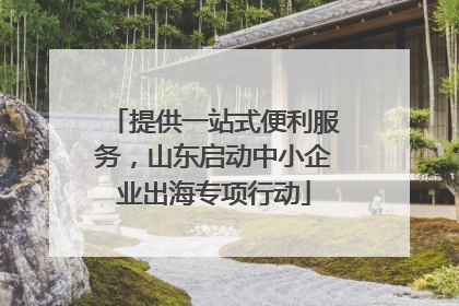 提供一站式便利服务，山东启动中小企业出海专项行动