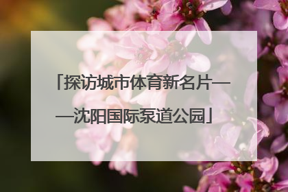 探访城市体育新名片——沈阳国际泵道公园