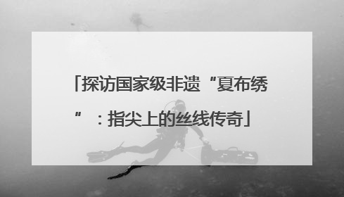 探访国家级非遗“夏布绣”：指尖上的丝线传奇