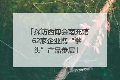探访西博会南充馆 62家企业携“拳头”产品参展