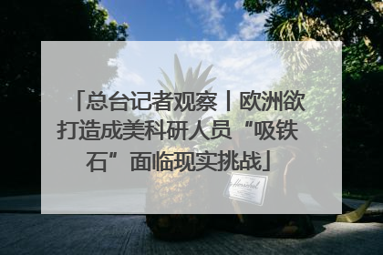 总台记者观察丨欧洲欲打造成美科研人员“吸铁石”面临现实挑战