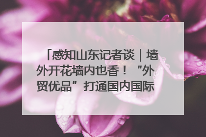 感知山东记者谈｜墙外开花墙内也香！“外贸优品”打通国内国际市场“旋转门”