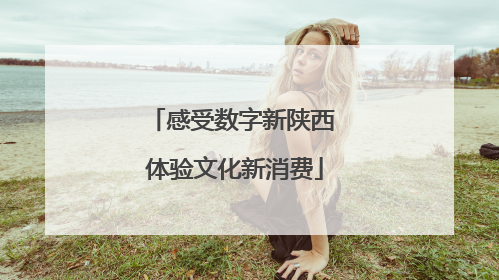 感受数字新陕西 体验文化新消费