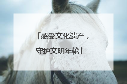 感受文化遗产，守护文明年轮