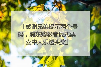 感谢兄弟提示两个号码，浦东购彩者复式票喜中大乐透头奖