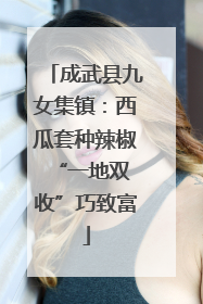 成武县九女集镇：西瓜套种辣椒 “一地双收”巧致富