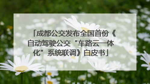成都公交发布全国首份《自动驾驶公交“车路云一体化”系统联调》白皮书