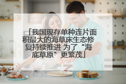 我国现存单种连片面积最大的海草床生态修复持续推进 为了“海底草原”更繁茂