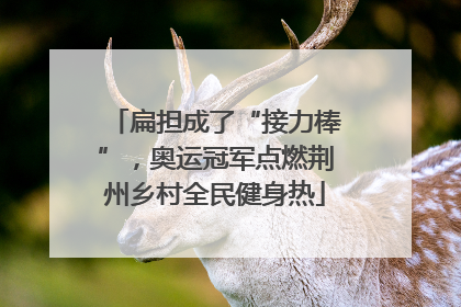 扁担成了“接力棒”，奥运冠军点燃荆州乡村全民健身热
