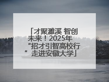 才聚濉溪 智创未来！2025年“招才引智高校行”走进安徽大学