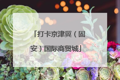 打卡京津冀（固安）国际商贸城