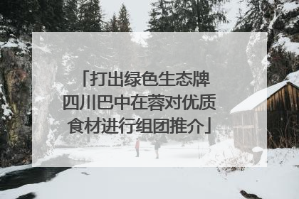 打出绿色生态牌 四川巴中在蓉对优质食材进行组团推介