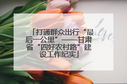 打通群众出行“最后一公里”——甘肃省“四好农村路”建设工作纪实