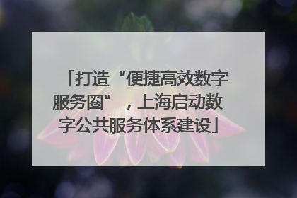 打造“便捷高效数字服务圈”，上海启动数字公共服务体系建设