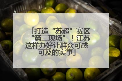打造“苏超”赛区“第二现场”！江苏这样办好让群众可感可及的实事