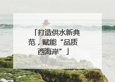 打造供水新典范，赋能“品质西海岸”