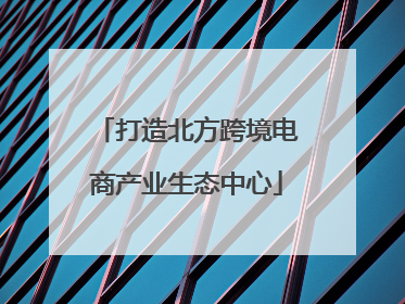 打造北方跨境电商产业生态中心